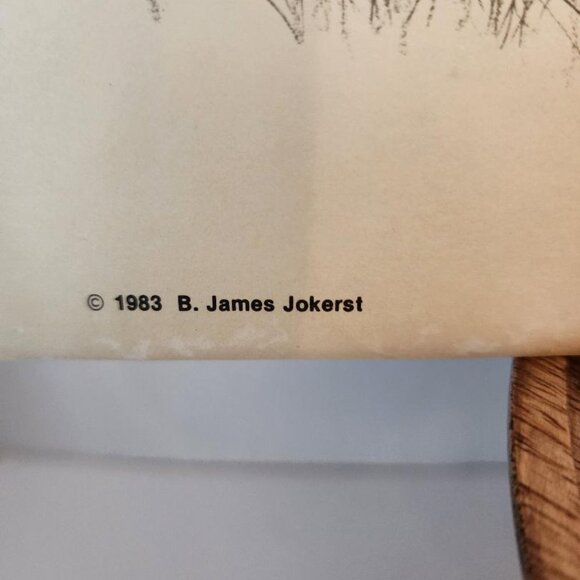 Vint.WESTERN WILDLIFE PORTFOLIO 12 WESTERN WILDLIFE PRINTS B JAMES JOKERST 1983 - Picture 2 of 8